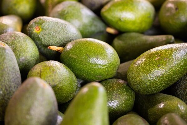 Taze Avokado – Doğal ve Besleyici - Görsel 4