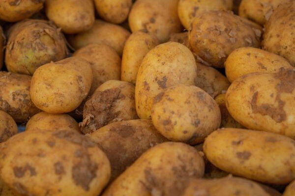 Patates (Kg)